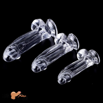 6.3in 7.28in 8.66in Realistic Clear Women Men Dildo With Suction Cup